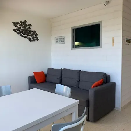 2 Etoiles A 5 Min Des Thermes Avec Parking Et Clim, Animaux Acceptes - Fr-1-503-129 Apartamento Balaruc-les-Bains